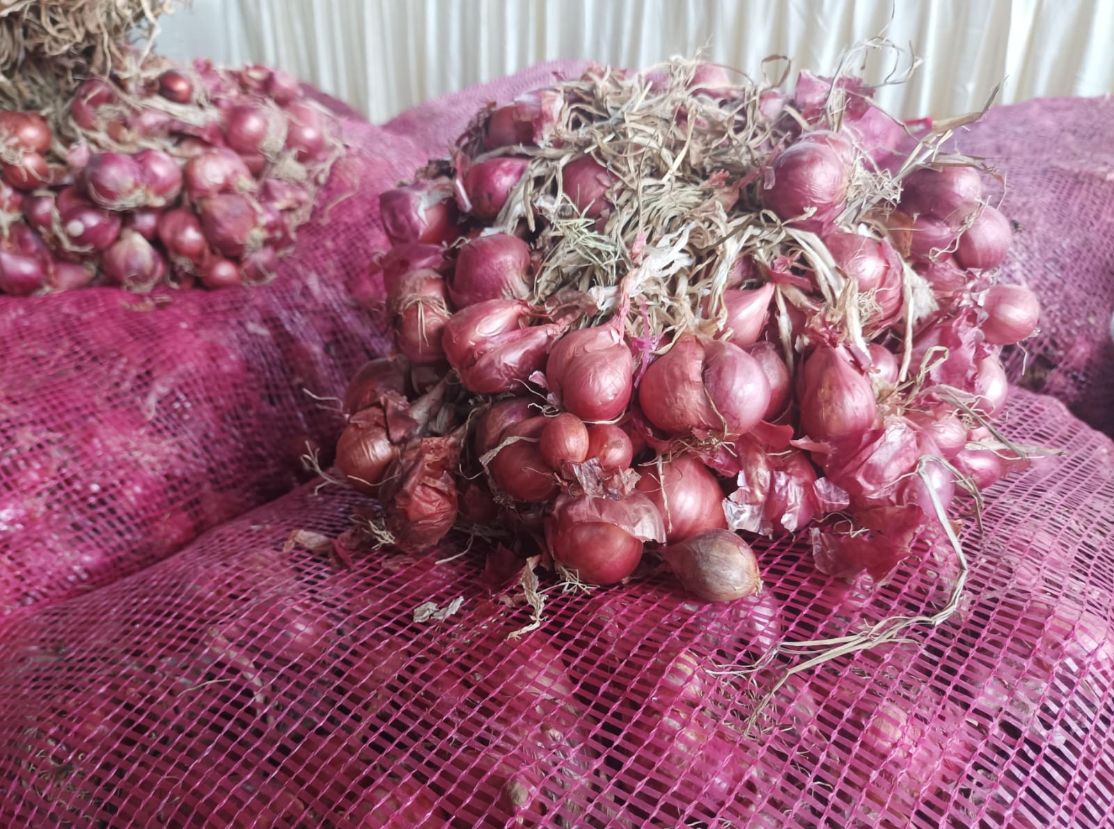 Dugaan Peredaran Bawang Merah Ilegal di Sumatera Utara