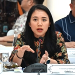 Puteri Komarudin Dorong Evaluasi Aturan Belanja Pegawai Daerah