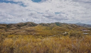 Puncak Bukit Tatanggo